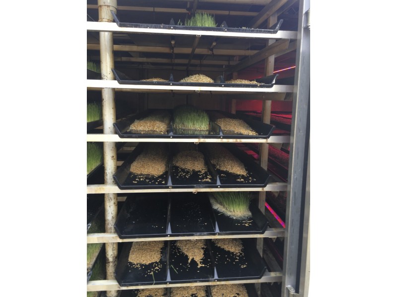 1185 Native Corners Road, Campania TAS 7026