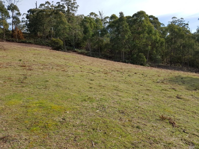 20 Longmans Road, Margate TAS 7054