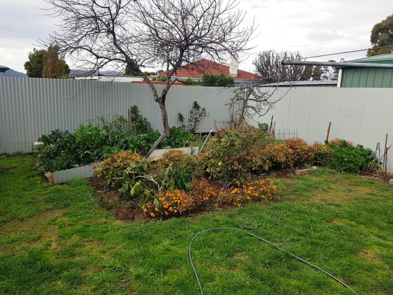 10 Skeggs Place, Bridgewater TAS 7030