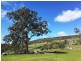 514 Bluff Road, Gretna TAS 7140