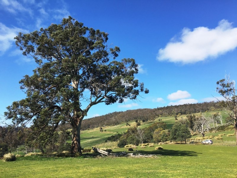514 Bluff Road, Gretna TAS 7140