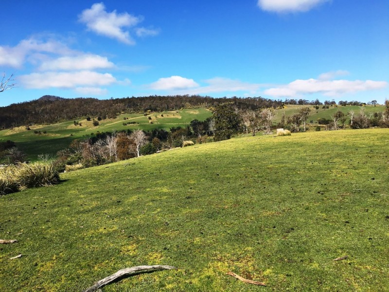 514 Bluff Road, Gretna TAS 7140