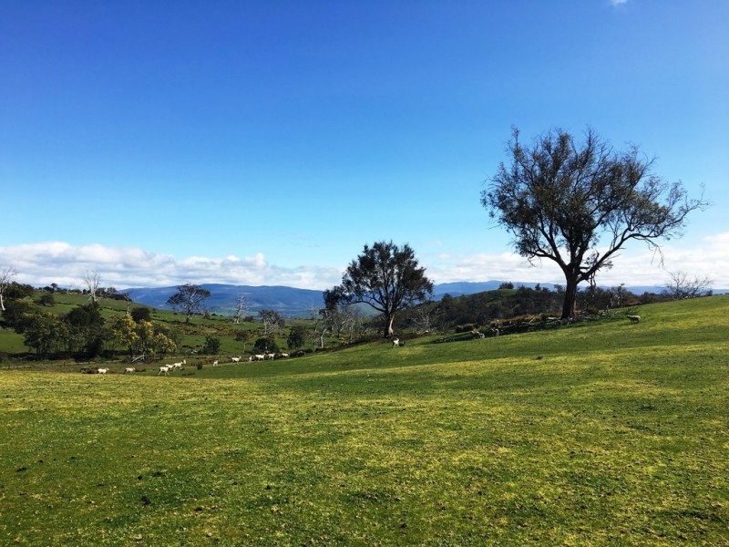 514 Bluff Road, Gretna TAS 7140