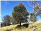 514 Bluff Road, Gretna TAS 7140