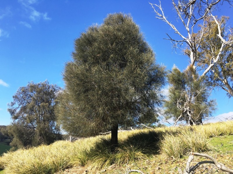 514 Bluff Road, Gretna TAS 7140