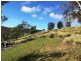 514 Bluff Road, Gretna TAS 7140