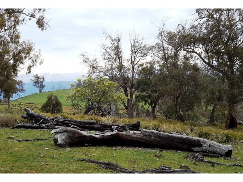 514 Bluff Road, Gretna TAS 7140