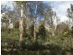 970 Marked Tree Road, Gretna TAS 7140