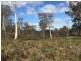 970 Marked Tree Road, Gretna TAS 7140