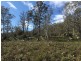 970 Marked Tree Road, Gretna TAS 7140