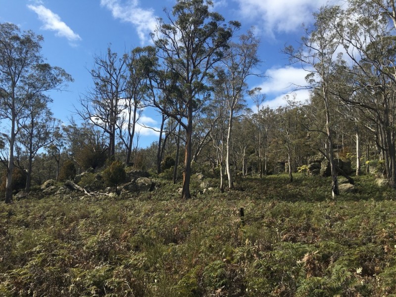 970 Marked Tree Road, Gretna TAS 7140