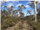 970 Marked Tree Road, Gretna TAS 7140