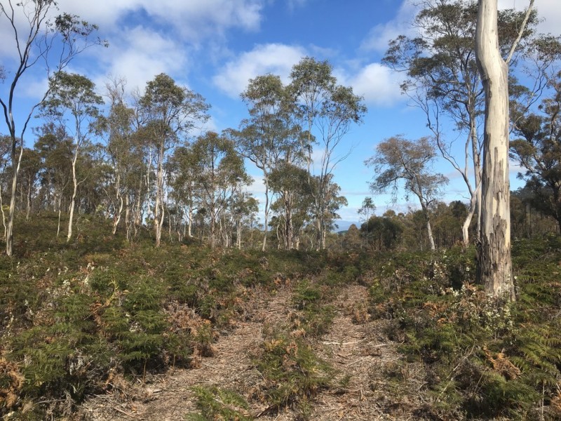 970 Marked Tree Road, Gretna TAS 7140