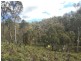 970 Marked Tree Road, Gretna TAS 7140