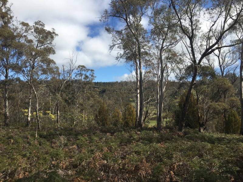 970 Marked Tree Road, Gretna TAS 7140