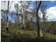 970 Marked Tree Road, Gretna TAS 7140