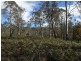 970 Marked Tree Road, Gretna TAS 7140