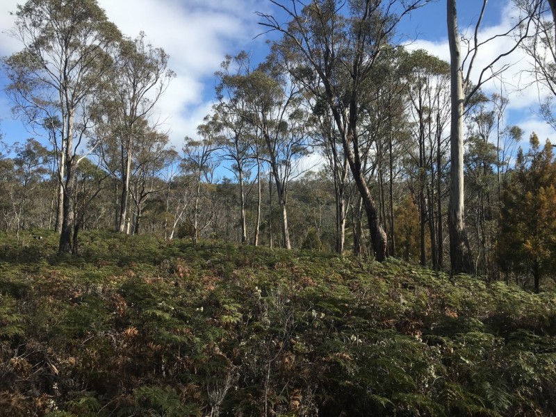 970 Marked Tree Road, Gretna TAS 7140