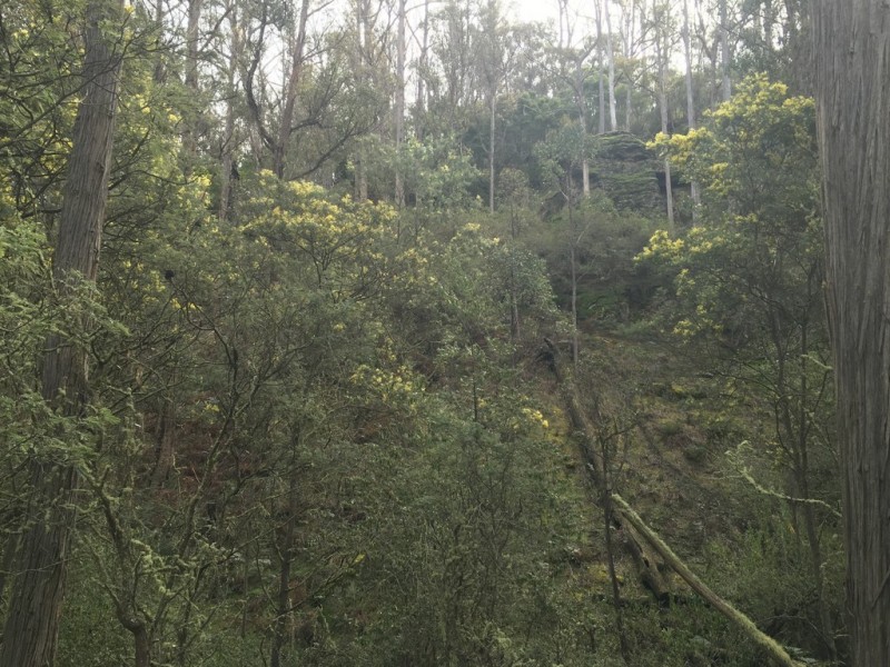 970 Marked Tree Road, Gretna TAS 7140