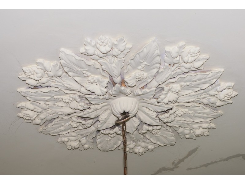 107 Patrick Street, West Hobart TAS 7000