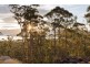 519 Tinderbox Road, Howden TAS 7054