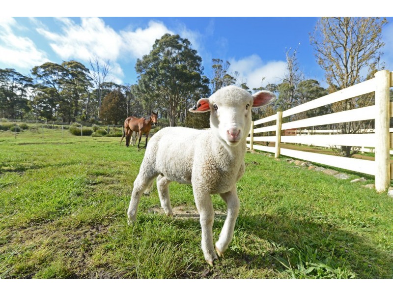 1966 Buckland Road, Woodsdale TAS 7120