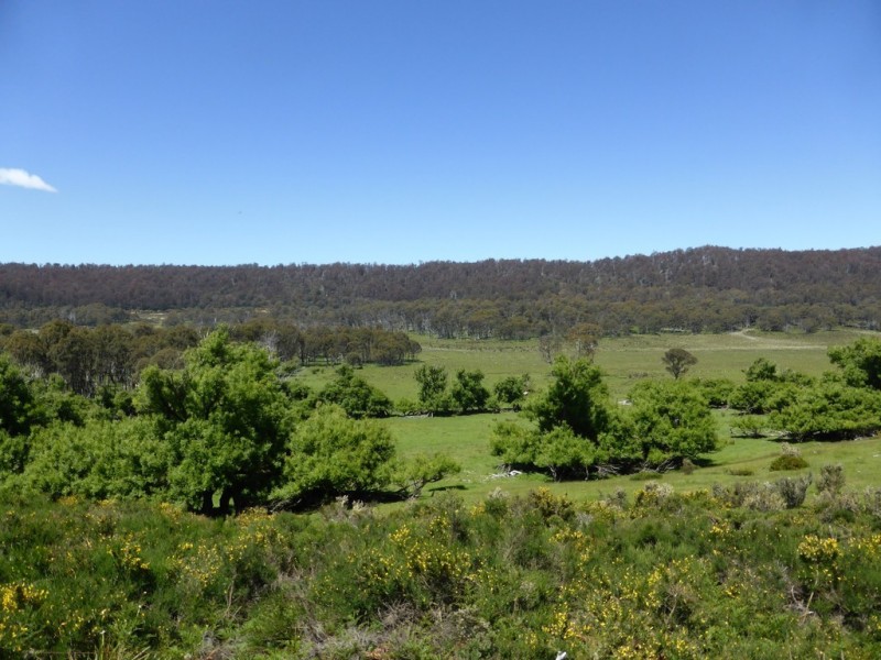 126 Marlborough Road, Bronte Park TAS 7140