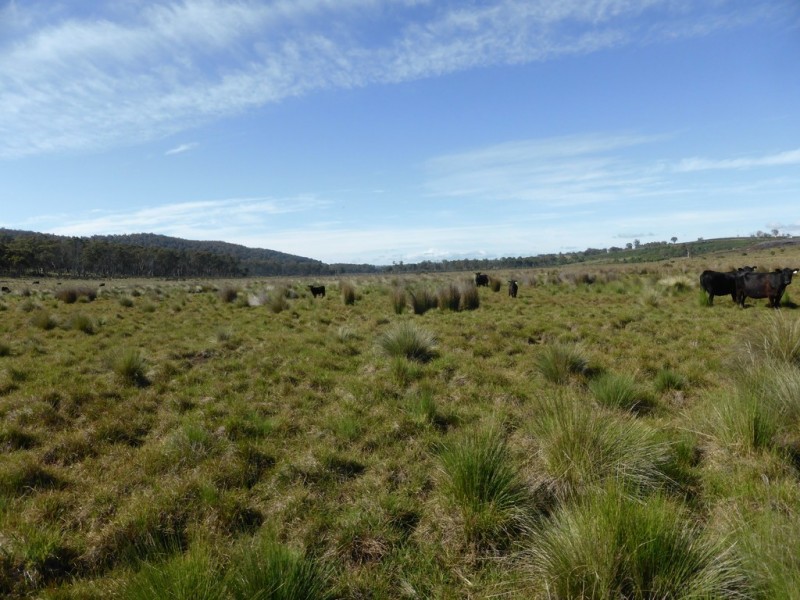 126 Marlborough Road, Bronte Park TAS 7140