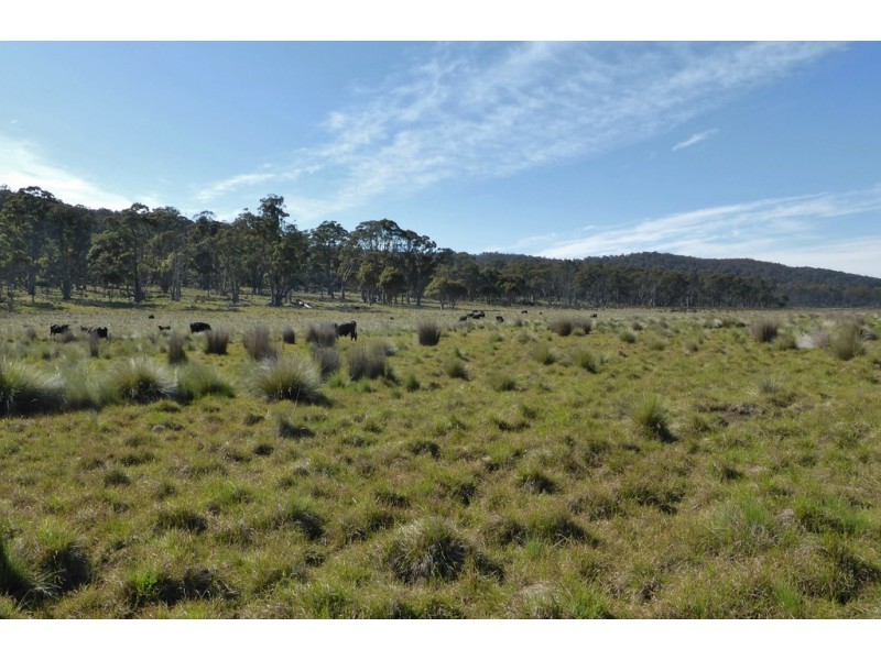 126 Marlborough Road, Bronte Park TAS 7140