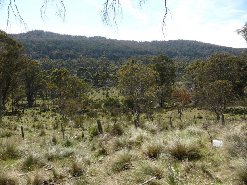 126 Marlborough Road, Bronte Park TAS 7140