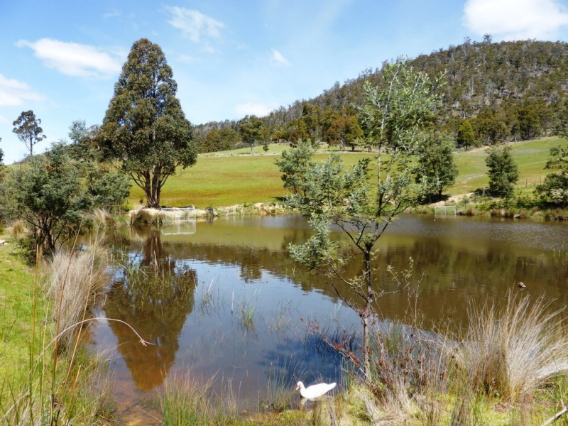 Lot 1 Native Corners Road, Campania TAS 7026