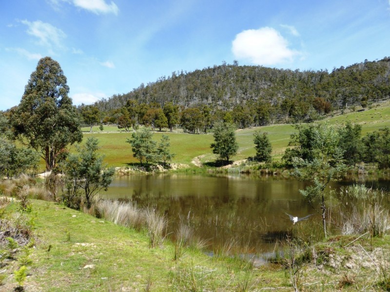 Lot 1 Native Corners Road, Campania TAS 7026