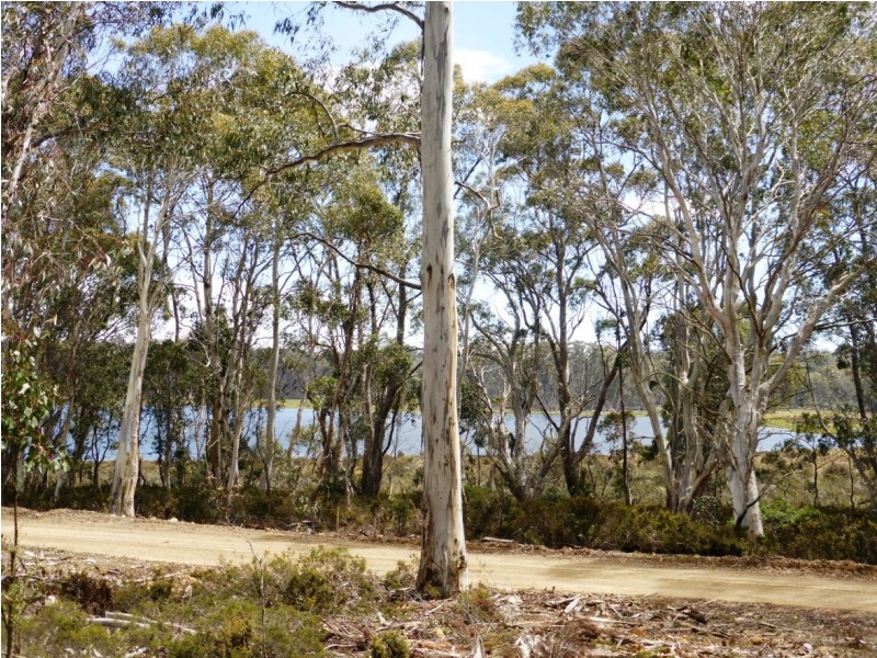 00 Browns Marsh Road, Bronte Park TAS 7140