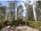 00 Browns Marsh Road, Bronte Park TAS 7140