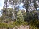 00 Browns Marsh Road, Bronte Park TAS 7140