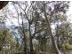 00 Browns Marsh Road, Bronte Park TAS 7140