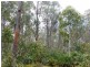 00 Browns Marsh Road, Bronte Park TAS 7140