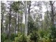00 Browns Marsh Road, Bronte Park TAS 7140