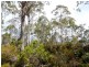 03 Victoria Valley Road, Bronte Park TAS 7140