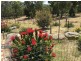 201 Springvale Road, Campania TAS 7026