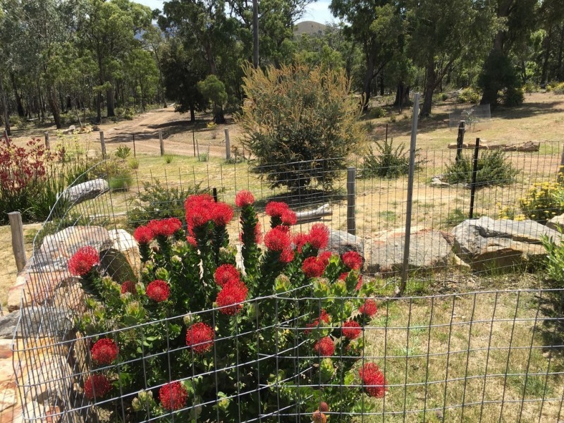 201 Springvale Road, Campania TAS 7026