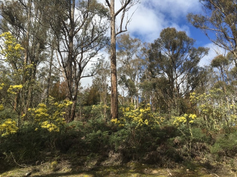 970 Marked Tree Road, Gretna TAS 7140