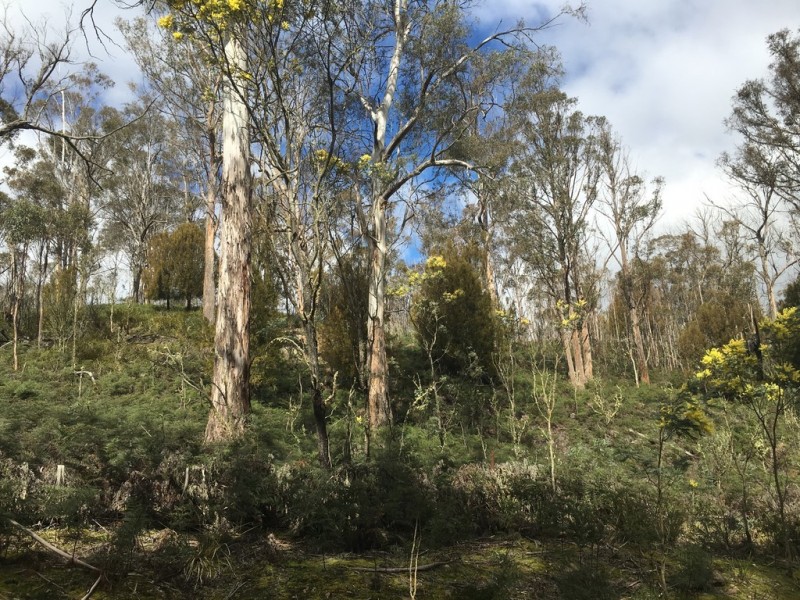 970 Marked Tree Road, Gretna TAS 7140