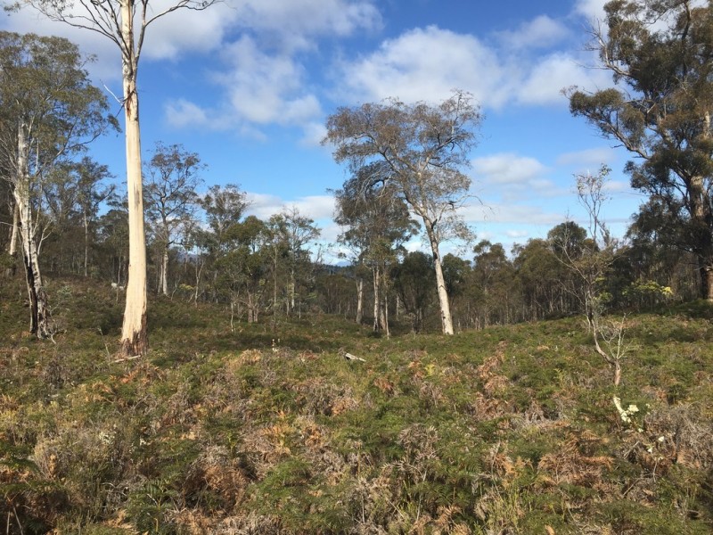 970 Marked Tree Road, Gretna TAS 7140