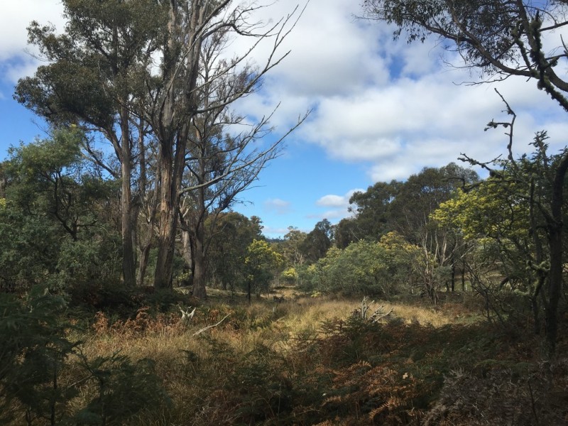 970 Marked Tree Road, Gretna TAS 7140