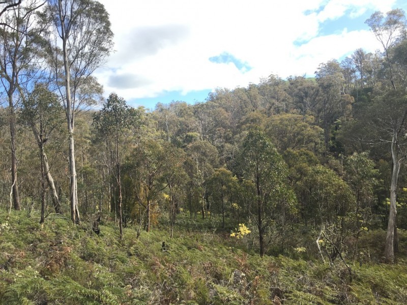 970 Marked Tree Road, Gretna TAS 7140