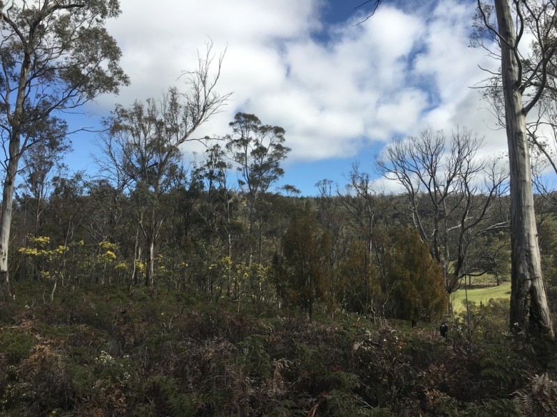 970 Marked Tree Road, Gretna TAS 7140