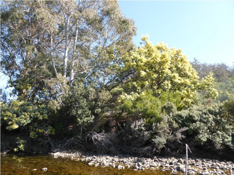 900 Swanston Road, Swanston TAS 7120