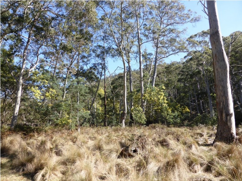 900 Swanston Road, Swanston TAS 7120