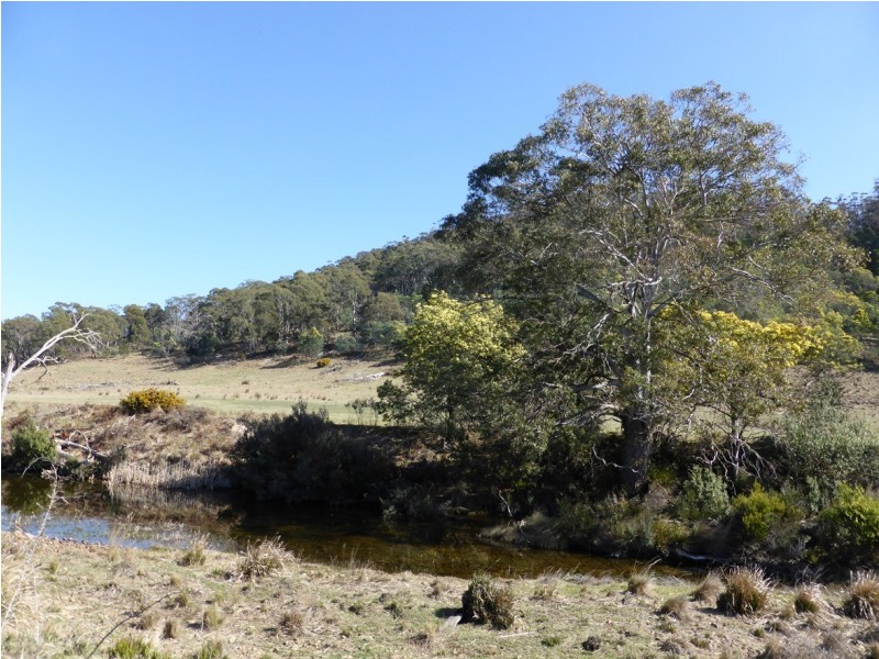 900 Swanston Road, Swanston TAS 7120